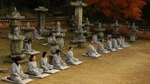 Temple-Stay-South-Korea-500x281