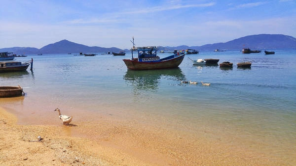 Trước khi nổi lên như một địa điểm “nhất định phải đến để check-in” nóng nhất trong 2 năm qua, đời sống kinh tế chính của người dân nơi đây là nuôi trồng và đánh bắt hải sản. Trước khi nổi lên như một địa điểm “nhất định phải đến để check-in” nóng nhất trong 2 năm qua, đời sống kinh tế chính của người dân nơi đây là nuôi trồng và đánh bắt hải sản.