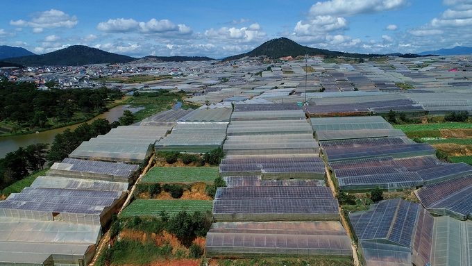 Những nhà kính ươm trồng cây rau và hoa ở Trại Mát. Những nhà kính ươm trồng cây rau và hoa ở Trại Mát.
