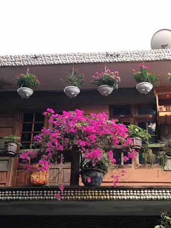 Đặc biệt trong khuôn viên nhà hàng có vô số cây cỏ, hoa lá như tô điểm thêm cho vẻ đẹp nơi đây. Ảnh: Facebook khu du lịch sinh thái Bảy Ban Đặc biệt trong khuôn viên nhà hàng có vô số cây cỏ, hoa lá như tô điểm thêm cho vẻ đẹp nơi đây. Ảnh: Facebook khu du lịch sinh thái Bảy Ban