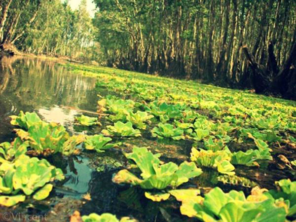 nham-chan-pho-thi-xo-bo-hay-ve-vung-dat-huong-dong-gio-noi-an-giang-ivivu-32