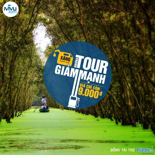 Xăng giảm nhẹ - Tour giảm mạnh giá chỉ 9000 VND! 
