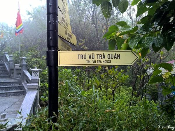 Trú Vũ Trà Quán là nơi có sự kết hợp tuyệt vời giữa kiến trúc, âm nhạc và cung cách phục vụ. Ảnh: Tiểu Duy