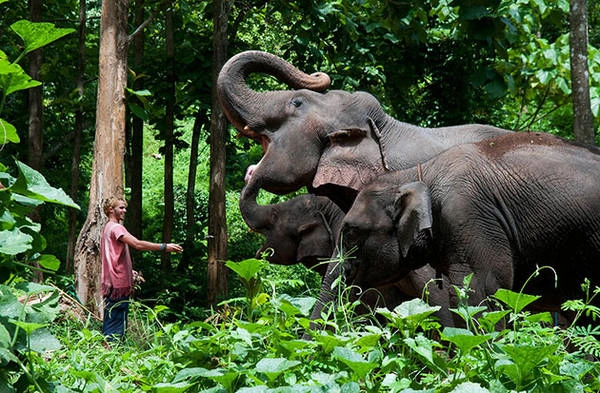 Sau khi xuống núi, hướng dẫn viên sẽ đưa bạn đến khu bảo tồn voi, nơi bạn có thể tự tay chăm sóc và thể hiện niềm yêu thích với chúng.