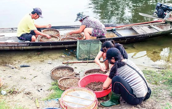 Cảnh mua bán cá tôm ở chợ nổi Ngư Mỹ Thạnh. Cảnh mua bán cá tôm ở chợ nổi Ngư Mỹ Thạnh.