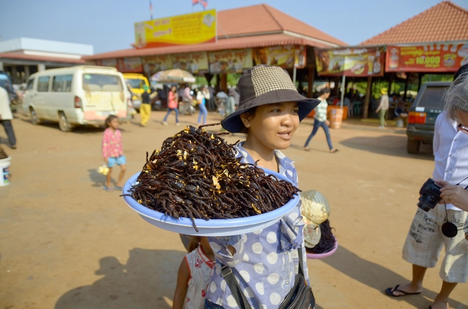 Nhện độc chiên  Tarantula là một loại nhện độc, đồng thời là đặc sản kinh dị nổi tiếng nhất ở Campuchia. Loài nhện này chủ yếu sống ở Kampong, một tỉnh cách Siem Reap hơn 200 km về phía đông nam. Không phải ai cũng can đảm nếm thử món ăn này. Ảnh: Meunierd.