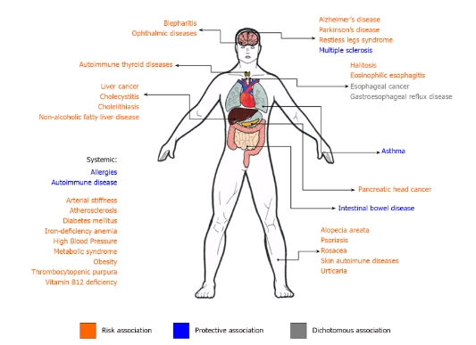 Sơ đồ tóm tắt các biểu hiện ngoài dạ dày của nhiễm Helicobacter pylori