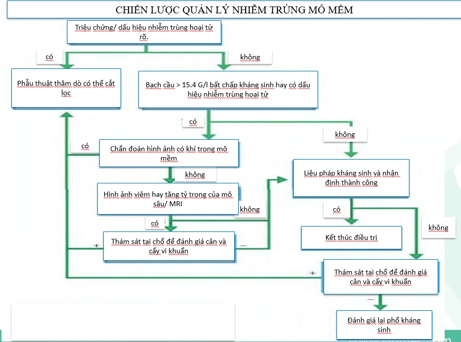 Nhiễm khuẩn da - mô mềm