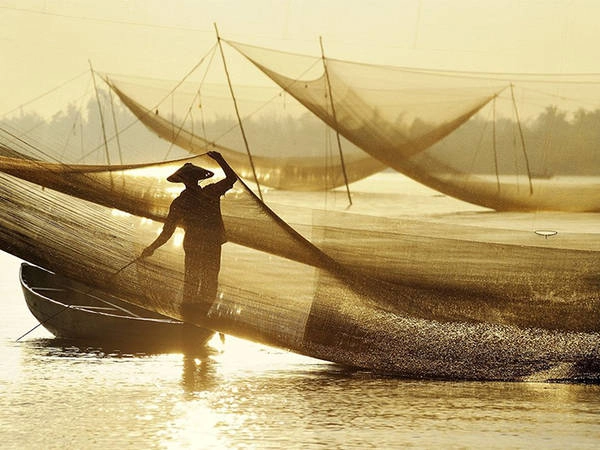 Tác phẩm 'Lưới Vàng' - người đàn ông đánh cá trong ánh sáng buổi sớm mai. 