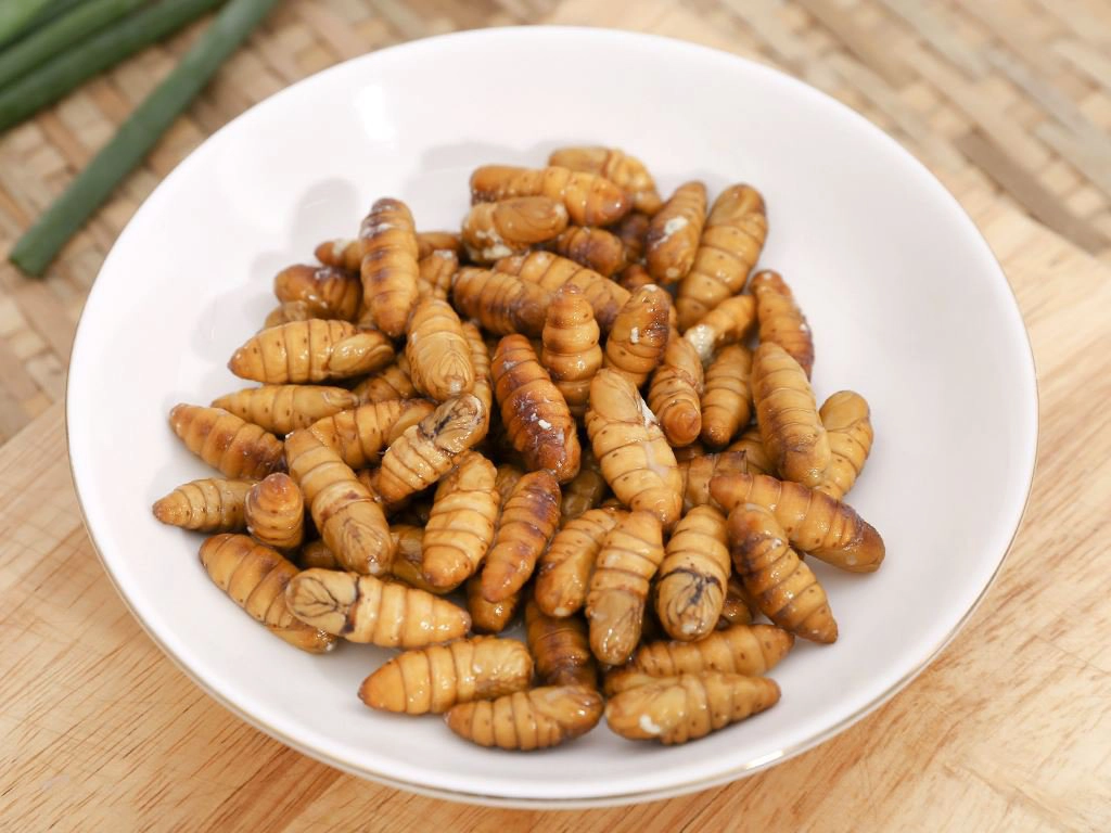 Nhộng tằm