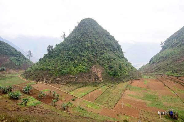 Hang Lùng Khúy nằm cách trung tâm huyện Quản Bạ (Hà Giang) trên 10 km, thuộc thôn Lùng Khúy, xã Quản Bạ. Hang động nằm ở lưng chừng một quả núi, với thời tiết không có sương mù, đứng ở cửa hang có thể quan sát toàn bộ khu vực xã Cán Tỷ (Quản Bạ). Hang Lùng Khúy nằm cách trung tâm huyện Quản Bạ (Hà Giang) trên 10 km, thuộc thôn Lùng Khúy, xã Quản Bạ. Hang động nằm ở lưng chừng một quả núi, với thời tiết không có sương mù, đứng ở cửa hang có thể quan sát toàn bộ khu vực xã Cán Tỷ (Quản Bạ).
