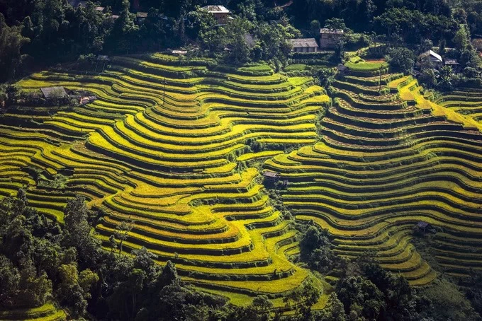 Ruộng bậc thang được công nhận Di tích quốc gia ở Hoàng Su Phì trải dài ở 11 xã gồm Bản Luốc, Bản Phùng, Sán Sả Hồ, Hồ Thầu, Nậm Ty, Thông Nguyên, Tả Sử Choóng, Bản Nhùng, Pố Lồ, Thàng Tín và Nậm Khòa (ảnh). Trong đó, Bản Luốc và Bản Phùng là nơi có những thửa ruộng bậc thang cao nhất Việt Nam.  Những thửa ruộng bậc thang ở đây ước tính có tuổi đời khoảng 300 năm.