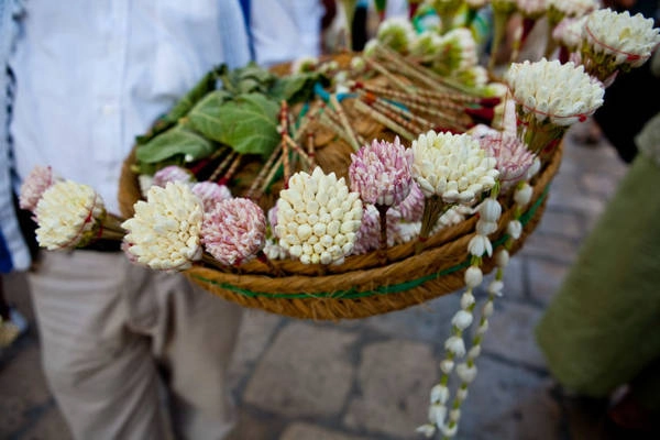  Chính quyền Tunisia đã cấm trồng hoa nhài kể từ sau cuộc Cách mạng Hoa Nhài năm 2010 - Ảnh: Mark Vos