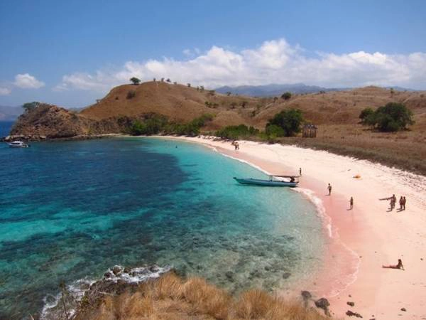Đảo Rồng Komodo ở Indonesia không chỉ hút khách bằng loài thằn lằn khổng lồ trên đảo mà còn do những bãi biển cát hồng cực kỳ quyến rũ như Pantai Mer, Red Beach... Sắc hồng cát biển kết hợp hoàn hảo giữa cát trắng cùng san hô đỏ, vỏ sò hồng, bọt biển... Ảnh: Gotsaga. Đảo Rồng Komodo ở Indonesia không chỉ hút khách bằng loài thằn lằn khổng lồ trên đảo mà còn do những bãi biển cát hồng cực kỳ quyến rũ như Pantai Mer, Red Beach... Sắc hồng cát biển kết hợp hoàn hảo giữa cát trắng cùng san hô đỏ, vỏ sò hồng, bọt biển... Ảnh: Gotsaga.