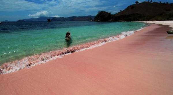 Sát mép nước, màu hồng cát biển càng sậm. Ảnh: WordPress. Sát mép nước, màu hồng cát biển càng sậm. Ảnh: WordPress.