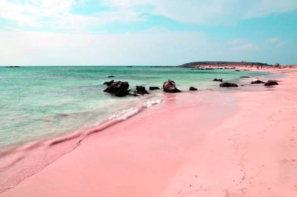 Bãi biển cát hồng ở Bahamas luôn là niềm mơ ước được chạm chân đến của dân du lịch. Ảnh: WordPress Bãi biển cát hồng ở Bahamas luôn là niềm mơ ước được chạm chân đến của dân du lịch. Ảnh: WordPress