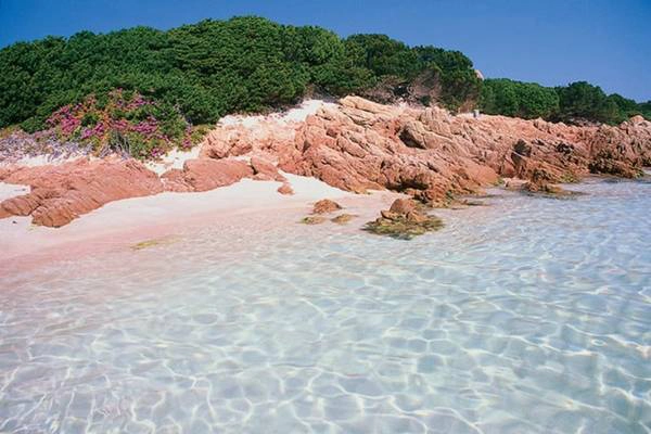 Màu xanh của lá, màu đỏ của đá, màu hồng của cát hòa quyện cùng làn nước trong veo ở Spiaggia Rosa. Ảnh: WordPress. Màu xanh của lá, màu đỏ của đá, màu hồng của cát hòa quyện cùng làn nước trong veo ở Spiaggia Rosa. Ảnh: WordPress.