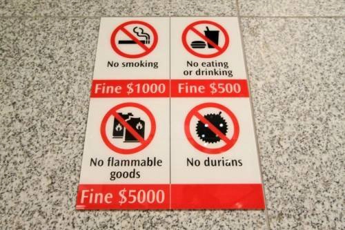 Do sầu riêng có mùi hắc hơi khó chịu nên chính phủ Singapore cũng cấm ăn loại quả này ở các nơi công cộng. Ảnh: Clark&Kim Cays.