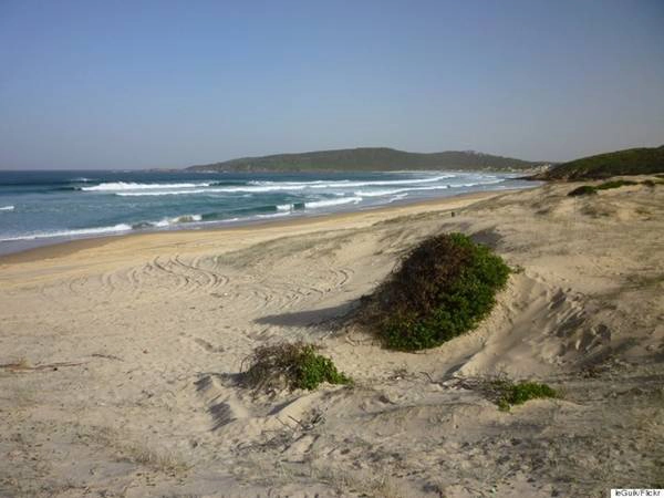 <strong>Bãi biển Samurai, Australia: </strong>Bãi biển tuyệt đẹp với cát trắng và làn nước xanh biếc này có những khu cắm trại dành riêng cho những người theo chủ nghĩa khỏa thân và là nơi tổ chức những buổi dã ngoại thú vị. <strong>Bãi biển Samurai, Australia: </strong>Bãi biển tuyệt đẹp với cát trắng và làn nước xanh biếc này có những khu cắm trại dành riêng cho những người theo chủ nghĩa khỏa thân và là nơi tổ chức những buổi dã ngoại thú vị.