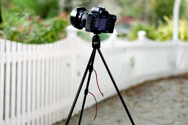 Ảnh: photolife.vn Ảnh: photolife.vn