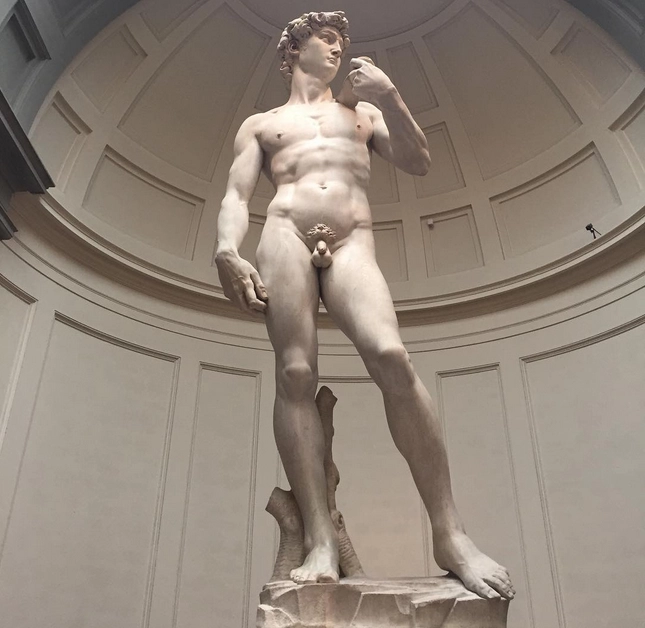 Bức tượng David của Michelangelo tại Accademia Gallery, Florence, Italy có đặt biển báo cấm chụp ảnh. Bức tượng David của Michelangelo tại Accademia Gallery, Florence, Italy có đặt biển báo cấm chụp ảnh.