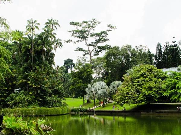 Vườn thực vật quốc gia Singapore rộng hơn 740.000 m2, với nhiều chủng loại cây phong phú, là điểm đến nổi tiếng thu hút 4,4 triệu khách tham quan mỗi năm. Ảnh: Quirksterblog. Vườn thực vật quốc gia Singapore rộng hơn 740.000 m2, với nhiều chủng loại cây phong phú, là điểm đến nổi tiếng thu hút 4,4 triệu khách tham quan mỗi năm. Ảnh: Quirksterblog.
