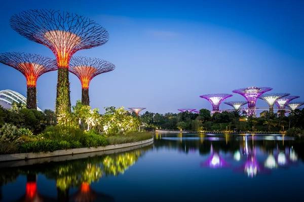 Khu Gardens by the Bay đã trở thành một trong những hình ảnh biểu tượng của Singapore, với kiến trúc vườn thẳng đứng độc đáo. Nơi này giống như một thành phố của tương lai, khi thiên nhiên và các công trình đô thị được kết hợp một cách hoàn hảo, bền vững. Ảnh: Timecaptures. Khu Gardens by the Bay đã trở thành một trong những hình ảnh biểu tượng của Singapore, với kiến trúc vườn thẳng đứng độc đáo. Nơi này giống như một thành phố của tương lai, khi thiên nhiên và các công trình đô thị được kết hợp một cách hoàn hảo, bền vững. Ảnh: Timecaptures.