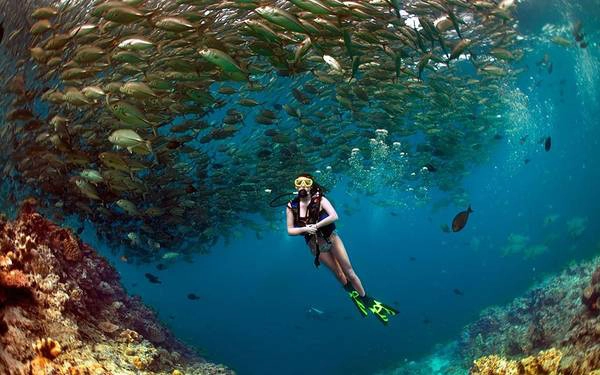 Đảo Sipadan của Malaysia là một trong những điểm lặn tuyệt vời nhất thế giới, với độ đa dạng sinh học lớn. Ảnh: Scubadivingezine. Đảo Sipadan của Malaysia là một trong những điểm lặn tuyệt vời nhất thế giới, với độ đa dạng sinh học lớn. Ảnh: Scubadivingezine.