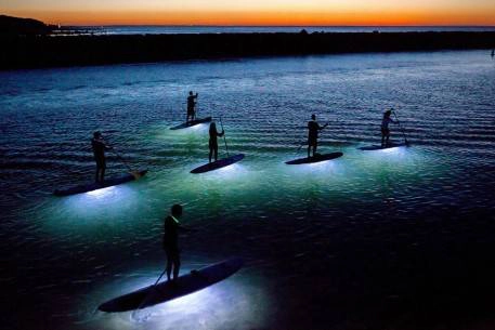 Tên tác phẩm: Paddling Dreams (Mái chèo ước mơ). Tác giả: Julia Cumes. Địa điểm: cảng Sesuit, Dennis, Massachusetts.