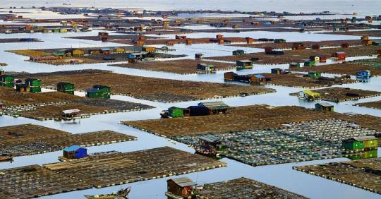 Tên tác phẩm: Fisher Village (Làng chài). Tác giả: Thierry Bornier. Địa điểm: gần Xiapu, Trung Quốc.