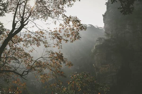 Khung cảnh tuyệt đẹp ở Trương Gia Giới. Ảnh: Nguyễn Trường Sơn Khung cảnh tuyệt đẹp ở Trương Gia Giới. Ảnh: Nguyễn Trường Sơn