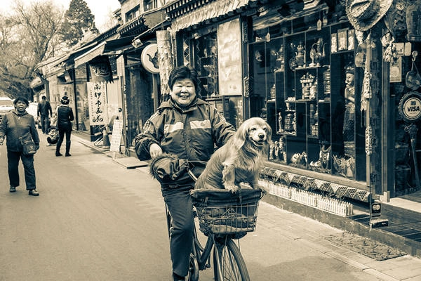 Người chủ cùng chú chó dễ thương trên đường phố ở Bắc Kinh. Ảnh: Maie Vaks / Picfair Người chủ cùng chú chó dễ thương trên đường phố ở Bắc Kinh. Ảnh: Maie Vaks / Picfair