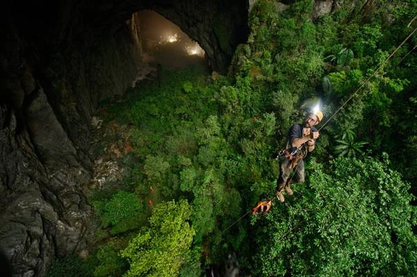 Trần hang có hai hố sụt lớn, giúp ánh sáng mặt trời và nước mưa lọt qua, tạo ra một khu rừng với hệ động thực vật độc đáo. Ảnh: Carsten Peter. Trần hang có hai hố sụt lớn, giúp ánh sáng mặt trời và nước mưa lọt qua, tạo ra một khu rừng với hệ động thực vật độc đáo. Ảnh: Carsten Peter.