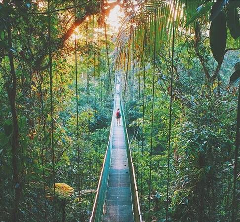 Ngoài ra Strohl còn có các chuyến đi ra nước ngoài. Trong ảnh là khu rừng Monteverde ở Costa Rica. Ngoài ra Strohl còn có các chuyến đi ra nước ngoài. Trong ảnh là khu rừng Monteverde ở Costa Rica.