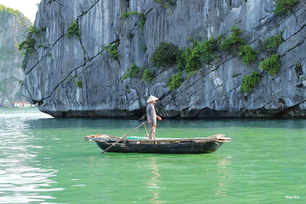 Màu nước trong xanh như ngọc của Cát Bà dưới góc nhìn của Diane Brsc. Màu nước trong xanh như ngọc của Cát Bà dưới góc nhìn của Diane Brsc.
