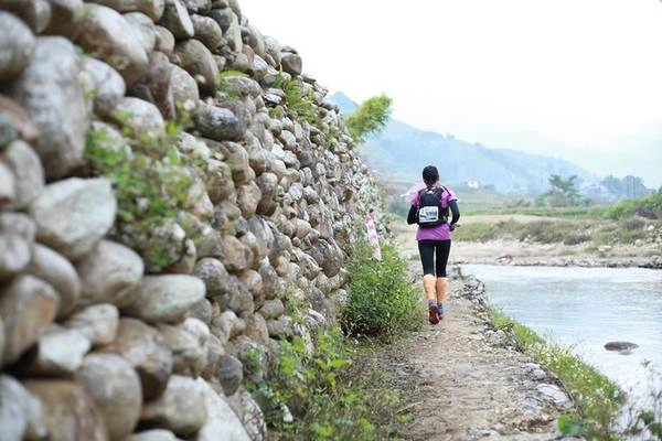 VMM 2017 gồm 5 cự ly: 10 km, 21 km, 42 km, 70 km và 100 km. Trong đó những vận động viên chạy cự ly 100 km xuất phát từ 22h30 ngày 22/9, phải hoàn thành phần thi trong vòng tối đa 24 giờ. Năm nay, giải có sự góp mặt của Đại sứ Anh tại Việt Nam Giles Lever, nhà văn Trang Hạ, MC Thuỳ Dung và Hoa hậu Hương Giang.