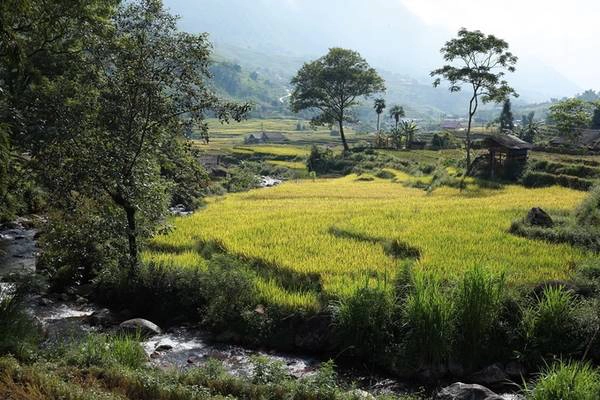 Khi chạy đến cuối thung lũng, các thí sinh sẽ phải leo lên những thửa ruộng bậc thang nằm ở độ cao gần 1.800 m và tới cung đường băng qua rừng già.