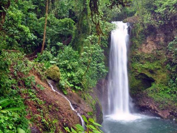Ngôi làng trên cây (Costa Rica)