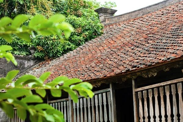 Điều đặc biệt nằm ở mái ngói của ngôi nhà. Theo lời kể lại, thì mái nhà này được lợp duy nhất từ loại ngói ta theo kiểu bít đốc cổ truyền, tới nay vẫn chưa bị dột nát. Trước khi đem ngói lợp thì người thợ dùng nước mù hóng đặc ngâm ngói nhiều giờ rồi đem phơi khô. Tiếp theo người ta lấy lần lượt hai viên ngói gõ vào nhau nếu viên nào rạn nứt hoặc vỡ thì bị loại. Để lấy ngói tốt lợp ngôi nhà này nhân công đã phải đốt hàng vạn viên. Những viên gạch ngói đỏ hửng dưới nắng cùng màu xanh của rêu phong và cây cối sẽ để lại những hình ảnh đẹp trong lòng bạn.