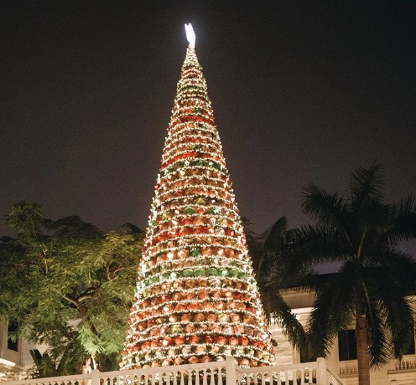 Lễ thắp sáng cây thông Noel được nhiều khách sạn, khu vui chơi giải trí tổ chức trong tháng 12 như một dấu hiệu mùa lễ hội bắt đầu. Để tạo ấn tượng với du khách, Metropole Hà Nội năm nay trang trí cây thông Giáng sinh cao 15 mét ở vườn treo bằng 1.250 chiếc nón lá truyền thống và hơn 50.000 bóng đèn lung linh. Trong buổi lễ, vận động viên xe đạp người Anh David Lloyd cùng đại sứ các nước Anh, Italy, Thụy Sĩ và hai đại sứ của phái đoàn Liên mình châu Âu (EU) tại Việt Nam đã đạp xe để tạo năng lượng thắp sáng cây thông. Lễ thắp sáng cây thông Noel được nhiều khách sạn, khu vui chơi giải trí tổ chức trong tháng 12 như một dấu hiệu mùa lễ hội bắt đầu. Để tạo ấn tượng với du khách, Metropole Hà Nội năm nay trang trí cây thông Giáng sinh cao 15 mét ở vườn treo bằng 1.250 chiếc nón lá truyền thống và hơn 50.000 bóng đèn lung linh. Trong buổi lễ, vận động viên xe đạp người Anh David Lloyd cùng đại sứ các nước Anh, Italy, Thụy Sĩ và hai đại sứ của phái đoàn Liên mình châu Âu (EU) tại Việt Nam đã đạp xe để tạo năng lượng thắp sáng cây thông.