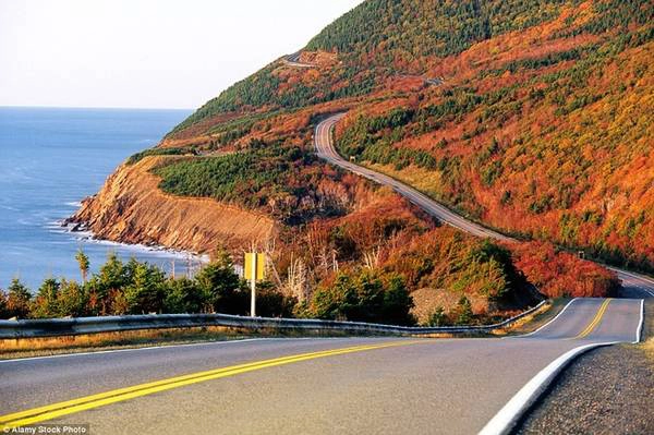 Cabot, Đảo Cape Breton, Nova Scotia Cabot là một trong những tuyến đường nổi tiếng nhất ở Canada, dài gần 300 km, chạy ven theo bờ biển của đảo Cape Breton ở Nova Scotia. Du khách không chỉ có cơ hội thử trình độ lái xe của mình mà còn được ngắm nhìn nhiều cảnh đẹp suốt dọc đường, từ vịnh Pleasant, nơi có một tu viện Phật giáo, tới vịnh Meat, nơi có thể tận mắt thấy cá voi...