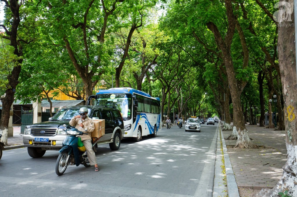 Đoạn ngã 4, ngã 3 đèn đỏ, chẳng ai nóng vội, vội vàng mà cứ thư thái chờ đợi. Biết đâu, có người lại chỉ muốn kéo dài ra thêm vài giây để tận hưởng nốt cái mát mẻ, xanh tươi hiếm hoi của thành phố những ngày này.