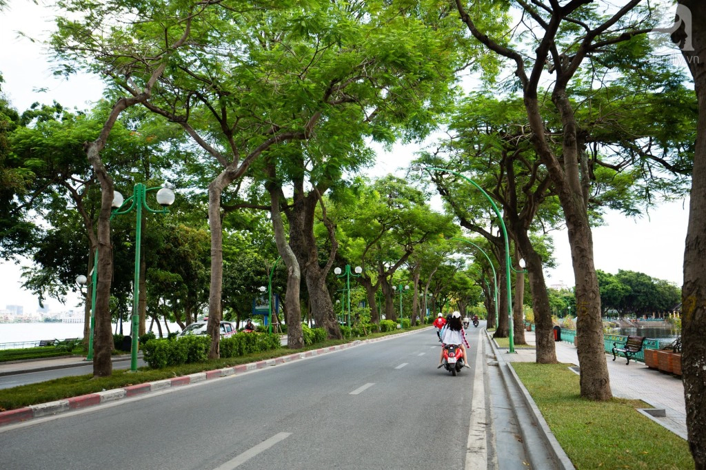 Hai hàng phượng vĩ hai bên đường đan xen với những cây cổ thụ khác khiến cho không khí ở đây dịu mát hơn hẳn những khu chung cư, nhà cao tầng hầm hập hơi nóng.