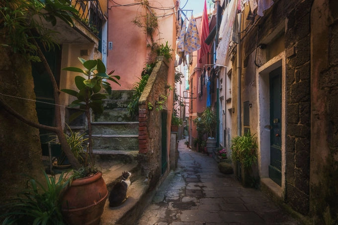 Đến Cinque Terre, người ta thường chăm chăm check in ở khu vực ngoài vịnh biển với những dãy nhà tầng tầng lớp lớp đầy sắc màu nhưng ít ai tìm đến không gian tĩnh lặng phía sau đó. Albert đã len lỏi vào bên trong để ghi lại những hình ảnh chân thực nhất. Đến Cinque Terre, người ta thường chăm chăm check in ở khu vực ngoài vịnh biển với những dãy nhà tầng tầng lớp lớp đầy sắc màu nhưng ít ai tìm đến không gian tĩnh lặng phía sau đó. Albert đã len lỏi vào bên trong để ghi lại những hình ảnh chân thực nhất.