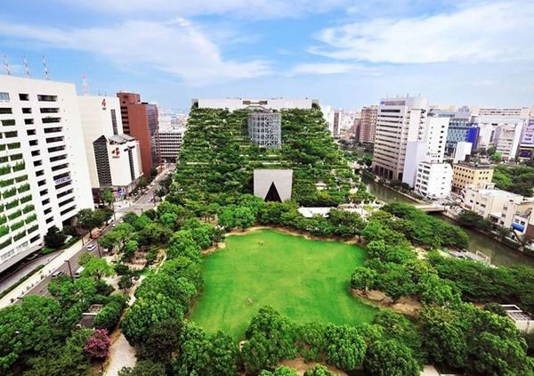Phía trước tòa nhà là một khoảng sân và cây xanh tuyệt đẹp. Phía trước tòa nhà là một khoảng sân và cây xanh tuyệt đẹp.