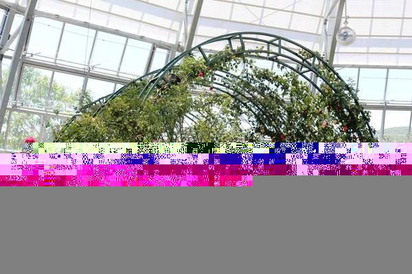 <strong>Garden by the Bay: </strong>Công viên rộng hơn 1 triệu m<sup>2 </sup>này nằm ở trung tâm Singapore và là một trong những biểu tượng của quốc gia này. Ảnh: Flickr.