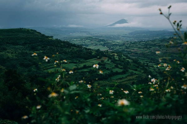 Cao nguyên Vân Hoà. Ảnh: Tuấn Khải