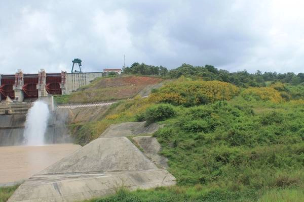 Khu vực qua cầu Đại Ninh - đạp nước Đại Ninh trên quốc lộ 20 ở Đức Trọng, dã quỳ ra hoa ở khu vực hồ rất nhiều, tuy nhiên cánh hoa không to và đẹp như ở Tu Tra hay cao tốc Liên Khương. Khu vực qua cầu Đại Ninh - đạp nước Đại Ninh trên quốc lộ 20 ở Đức Trọng, dã quỳ ra hoa ở khu vực hồ rất nhiều, tuy nhiên cánh hoa không to và đẹp như ở Tu Tra hay cao tốc Liên Khương.