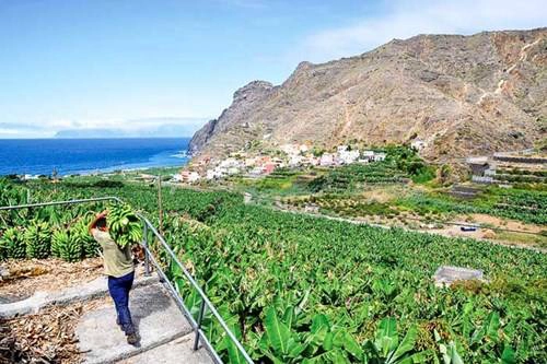 Một trang trại vùng nông thôn ven biển