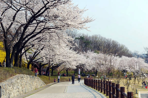 Cung đường dài 4,7km ở quận Gangbuk-gu. Ảnh: korea.net